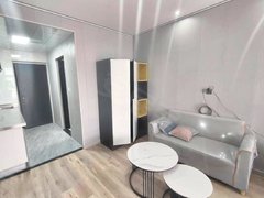 衡阳石鼓蒸湘北路自租免中介 旺角星辰 解放路 十二兽 可短租月付 拎包入住出租房源真实图片