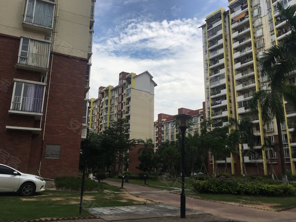 【多图】丰庭花园,金洲租房,金洲地铁站旁 丰庭花园 房东好说话 随时