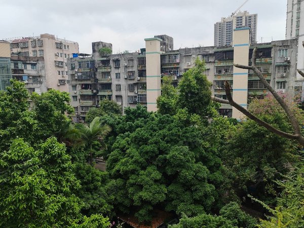 【多图】合兴苑,芳村租房,芳村茶滘 合兴苑中层 东南向安静望小区