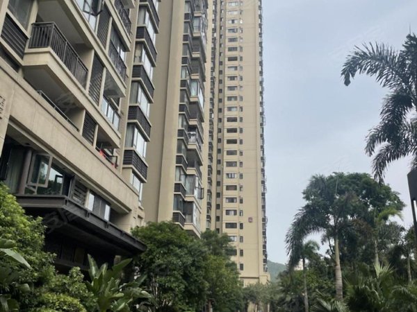 柳州城中城中彰泰城实图1个月起租 城中万达 东环路 万象城 东岸盛世