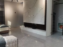 蚌埠蚌山新城区出租 市政府旁 栖湖朗廷精装loft公寓 拎包入住!出租房源真实图片