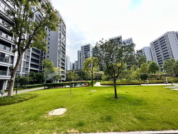 重庆渝北空港川航佳园重庆航空双凤桥枢纽站挨着 精装大三房 拎包入住