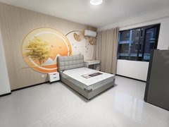 合肥高新蜀西湖科大先研院 高新银泰 祥源城别墅套内一室一厅一卫一厨 软件园出租房源真实图片