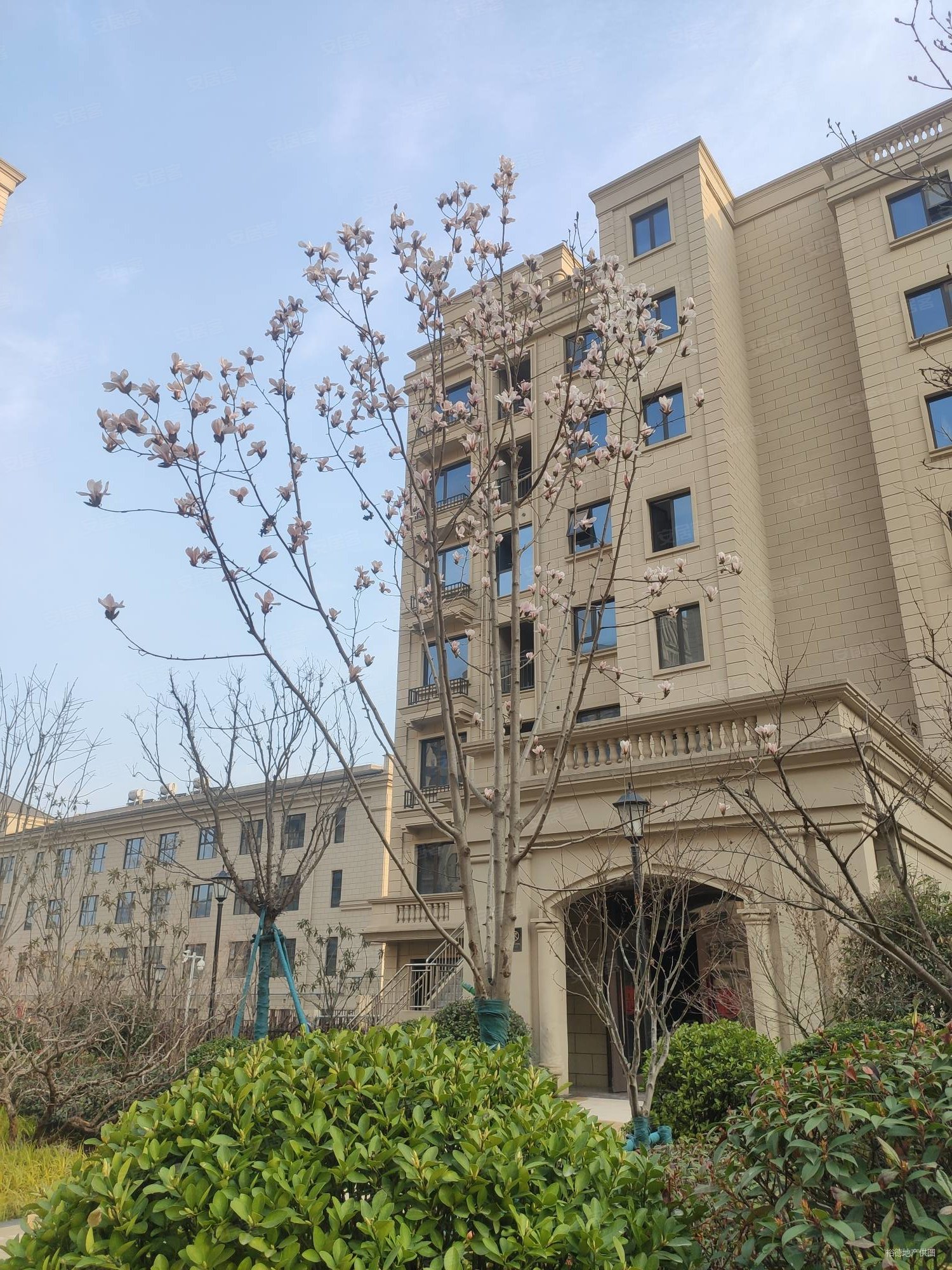 神舟大道地铁口 山水美树 纯洋房小区 品质住宅 小高 可看房