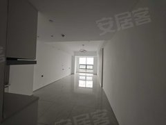 燕赵大厦 1室1厅1卫  电梯房 精装修60平米