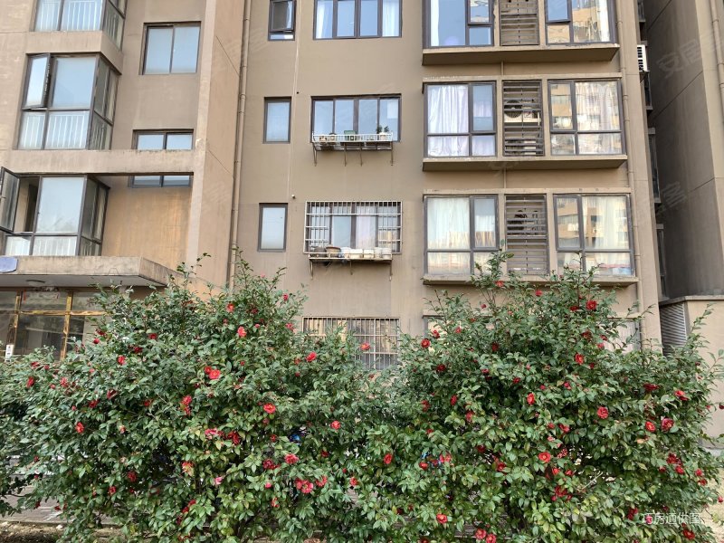 龙江花园 朝南 中间楼层采光好 正规商品房 临地铁 满