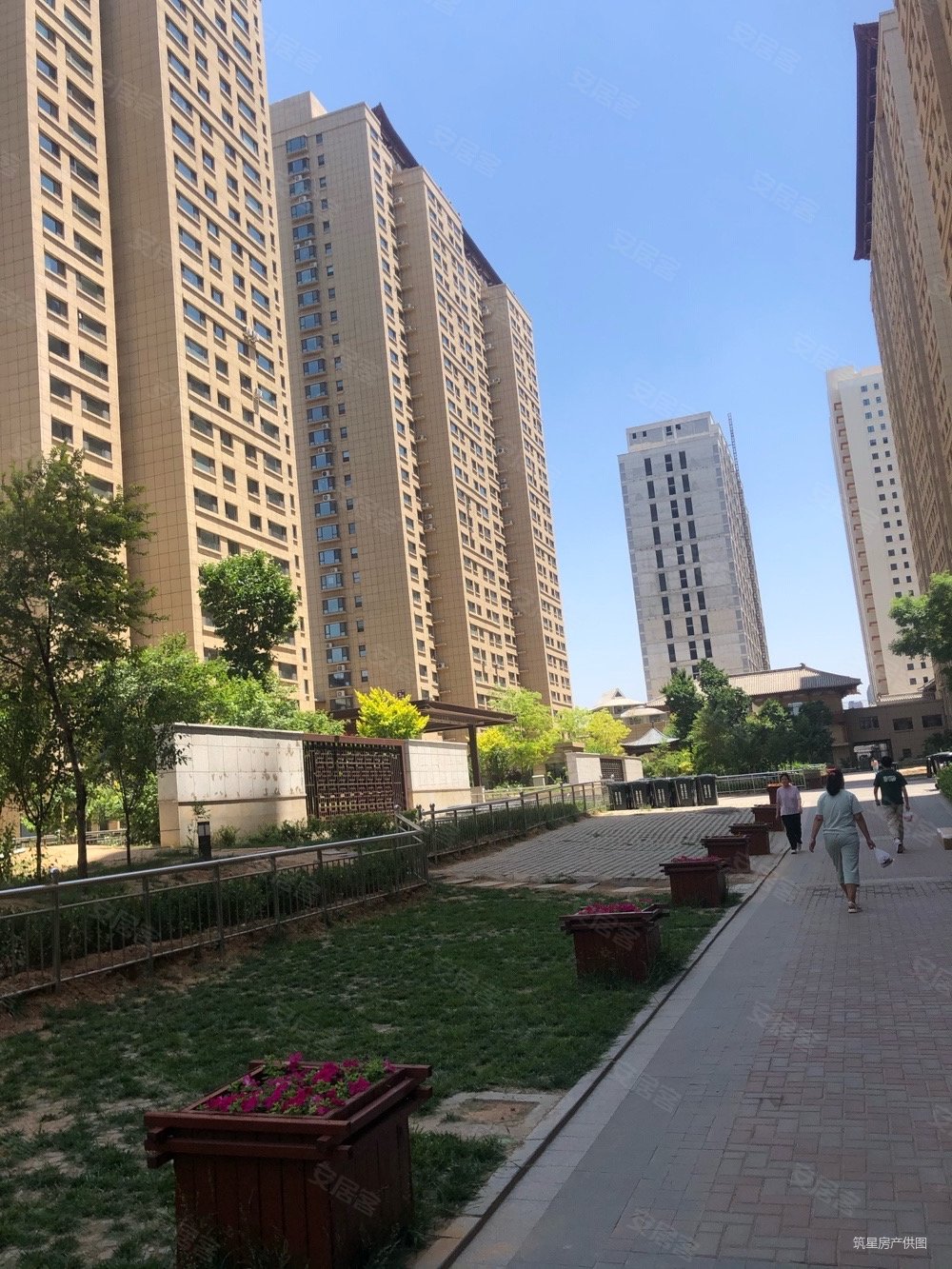 环内许坦东街锦东如意城新小区有本常青藤许东好小区