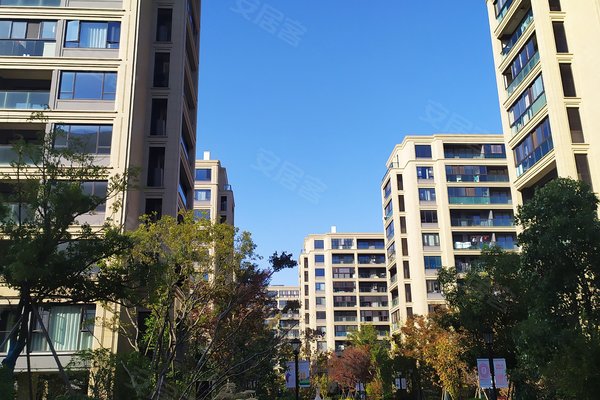 舟山小区 定海小区 临城小区 长峙岛香芸园 长峙岛香芸园怎么样