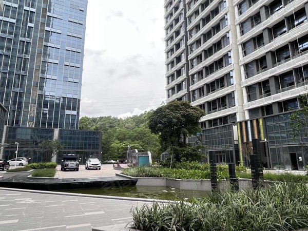 深圳龙岗大运宝德云谷大厦宝德云谷新上两房  出租 拎包入住 近港中大