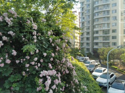 张凯升2021-07-07小区户型小区分为三期.