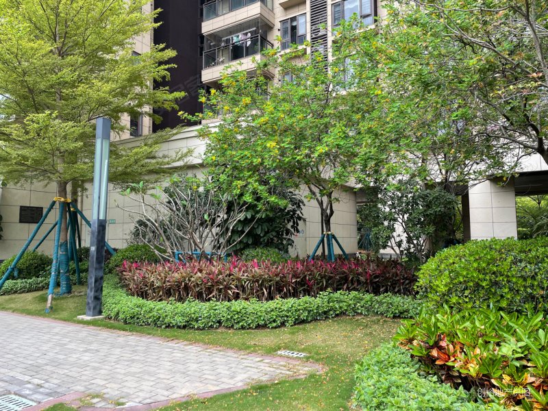 东莞房产网>东莞二手房>洪梅二手房>洪梅城区二手房>保利海棠(别墅)>