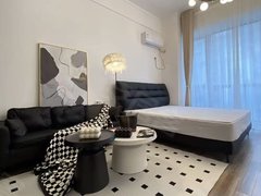 蚌埠蚌山新城区银泰旁 宝龙公寓 一室一厅金包入住 诚信出租出租房源真实图片