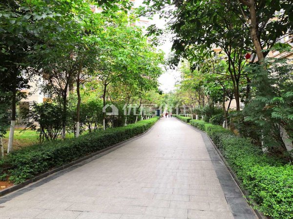 南宁武鸣武鸣城区康和城康和城商业广场精装四房拎包入住出租房源真实