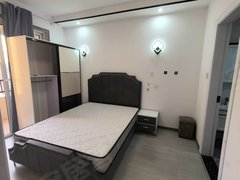 嘉兴嘉善姚庄镇左岸嘉园一房一厅 燃气做饭 压一付一出租房源真实图片