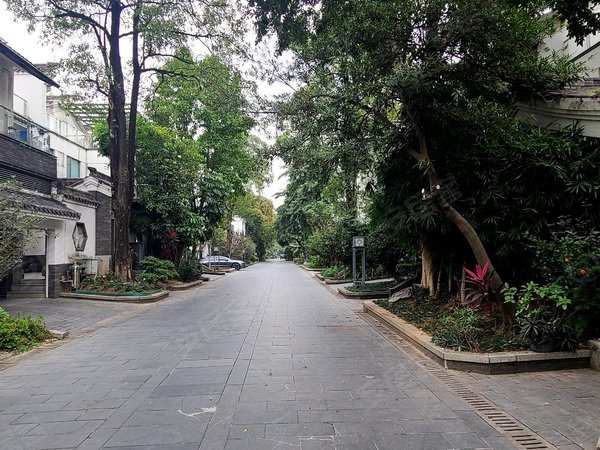 广州番禺万博清华坊南村中心 清华坊别墅 装修保养好 带室内车库 可