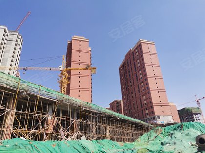 圣山国际