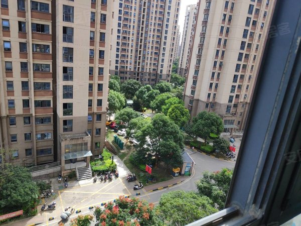 苏州吴中郭巷尹东八村(二区)近吴淞江科技产业园,出口加工保税区天云