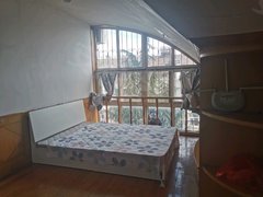 和平花园南区(南区) 3室2厅2卫