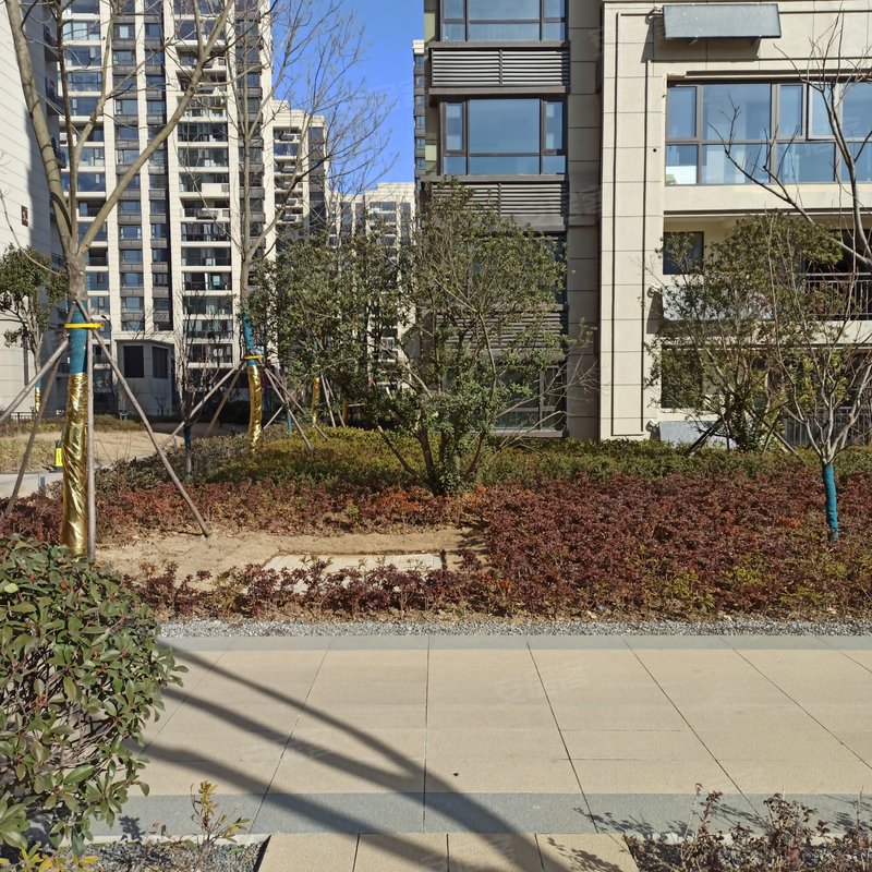 【天铂(建湖), 天铂(建湖)小区详情,房价走势,房源,业主论坛】- 盐城