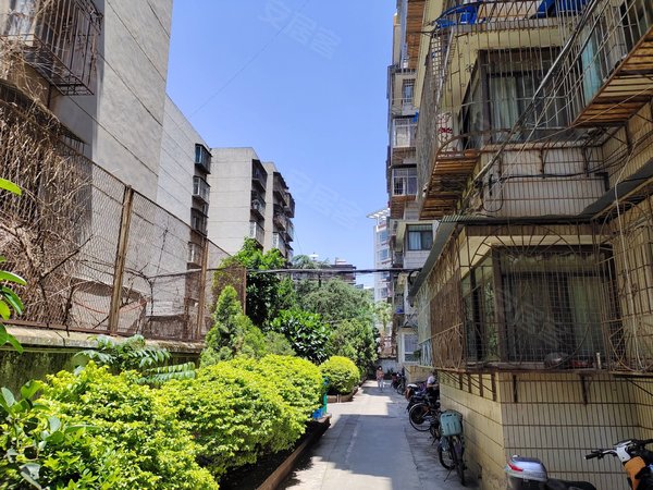 昆明西山船房片区西坝新村9号小区急租 近康复医院 昆华医院 西坝新村