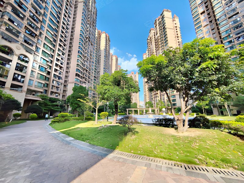 地铁口中兴兴园路九中红日山湖有证可过户