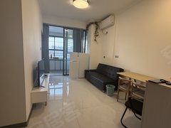 台山台城台城城区东方名城 1房1厅 包管理费和网络 精装出租房源真实图片