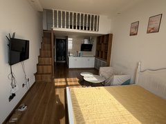 青州青州城区泰华城泰华城香江大厦 精装修LOFT公寓可做一室两室南向有WiFi出租房源真实图片