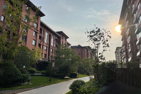 合肥小区 庐阳小区 三十岗,大杨镇小区 文一泰禾合肥院子