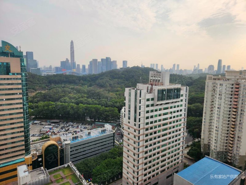 新出前排看莲花山灯光高层南向惊喜价工作调动置换诚心卖