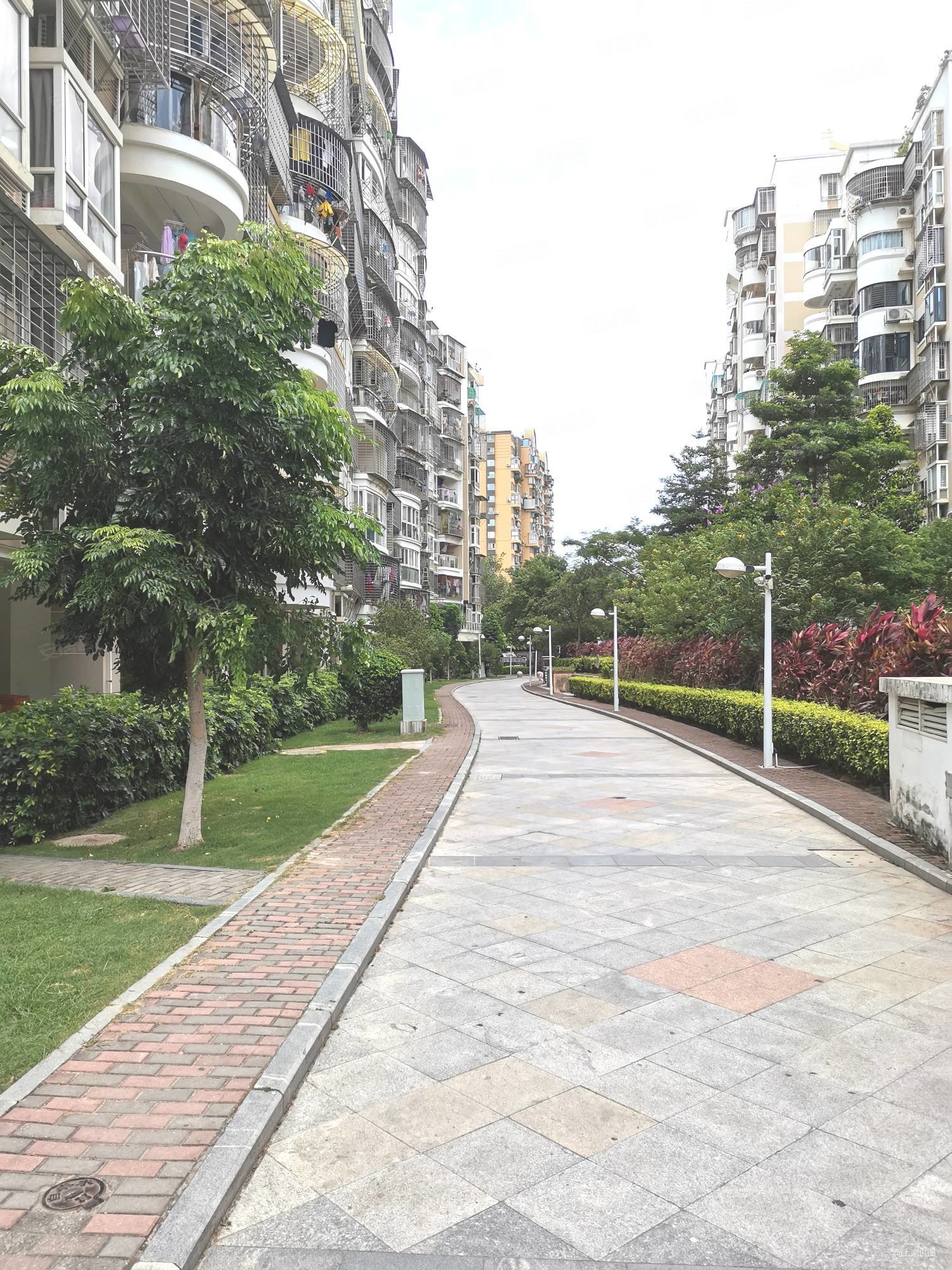 电梯花园小区 人车分流 大3房2厅2卫 南北全明 中庭,新莲花新龙山花园