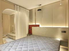 永康永康市区天鹅路商业街宝龙附近 精装全智能一室一厅 家电齐全 可做饭 带投影出租房源真实图片
