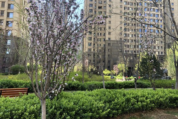 铂悦山优点,不足,铂悦山怎么样,铂悦山周边房产中介经纪人评价-唐山