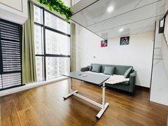 益阳赫山城市学院城市学院 西门 现代风 复试 公寓 拎包住 随时看出租房源真实图片