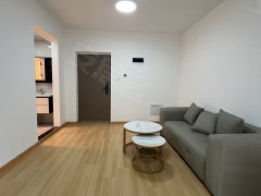 合肥北城新区阿奎利亚1室2厅精装公寓  第一次出租  密码锁随时看房（还有5套）出租房源真实图片