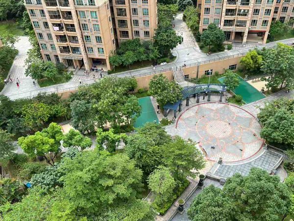 【多图】中森茗苑,新塘租房,中森茗苑 3室2厅0卫 电梯房 精装修85平米