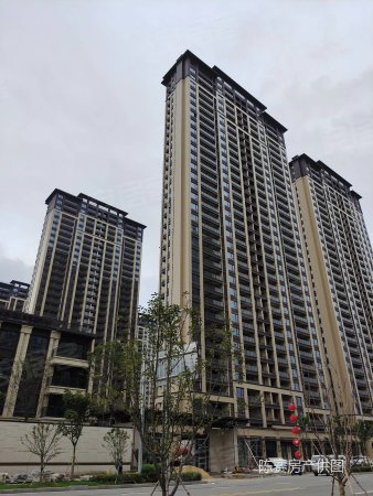 现房10楼(多套楼层可供)附近五星酒店中央广场, 新鸿国悦府(平阳)二手