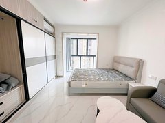 武汉洪山铁机路超绝性价比一室一厅 特养眼新潮装修一室 阳光充足通风超级棒出租房源真实图片