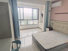 合肥包河马鞍山路绿地瀛海 金中环广场 银联广场 星隆广场小区 精装一室出租房源真实图片