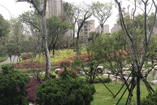嘉兴二手房 中南九龙澜邸 > 刘明金解读中南九龙澜邸居民素质端翔房产