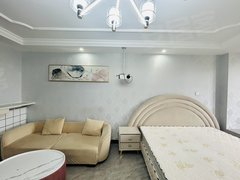 上海浦东临港新城古棕路 绿地单身公寓一室一厅出租房源真实图片