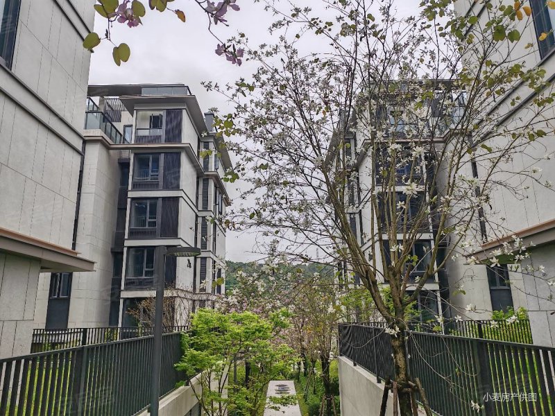 登云湖上叠别墅!国企现房,一手急售,环境优美.配套齐全