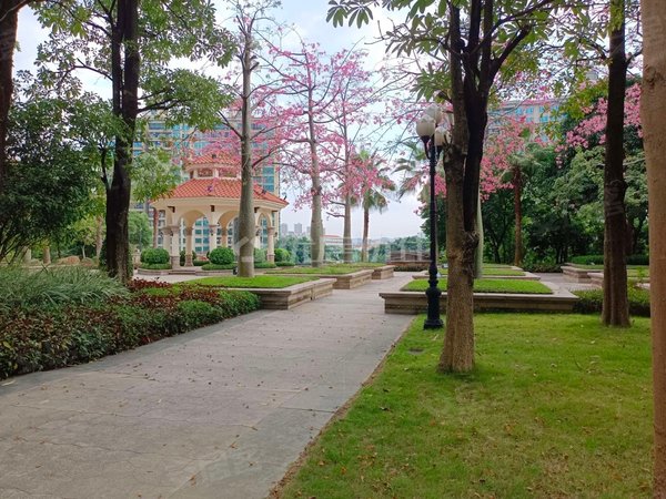 中新镇租房,恒大山水城 4室2厅2卫 精装修 140平 电梯房,增城租房