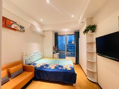 南京江宁岔路口可月付 南京南站 万科都荟天地 一室一厅 带电梯 民用水电出租房源真实图片