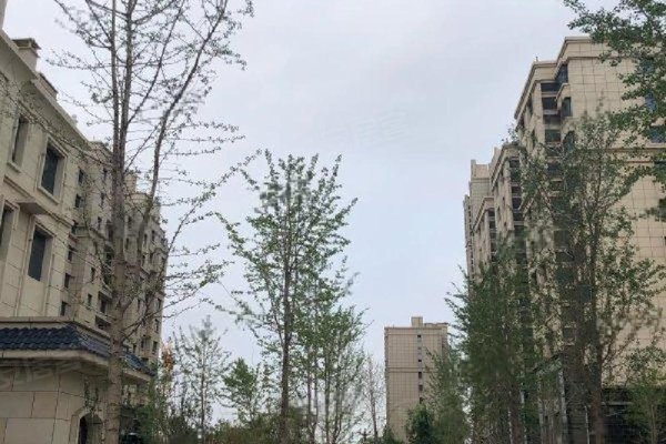 金悦城优点,不足,金悦城怎么样,金悦城周边房产中介经纪人评价-保定