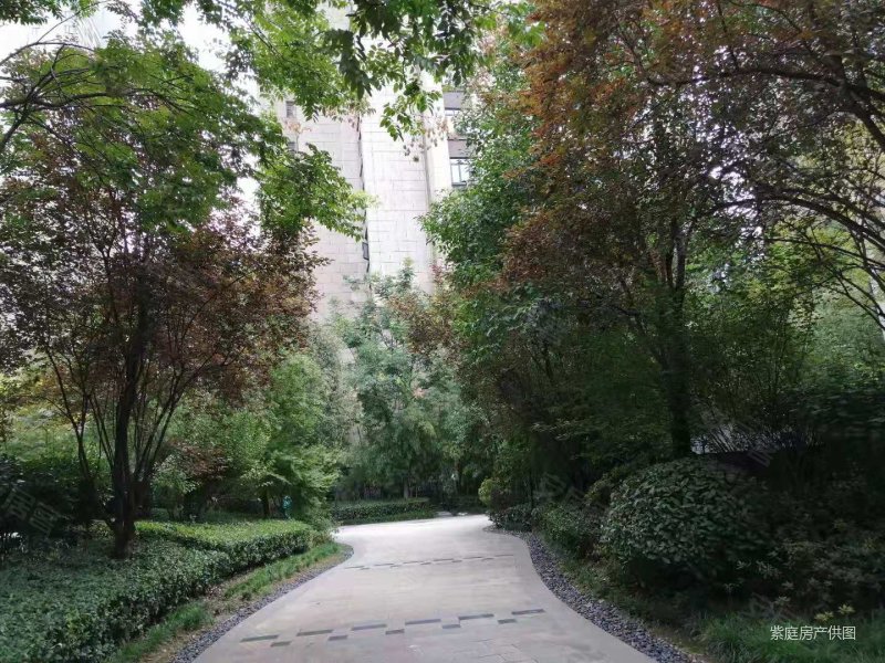 省委旁绿地海珀紫庭三室全明户型致电了解