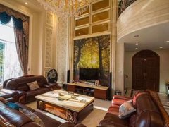 长沙星沙星沙大道适合做伴公居家做接待 碧桂园威尼斯城505家电齐全别墅出租房源真实图片