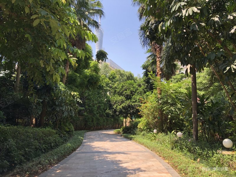 泓景花园 高层 广州塔景观3房2卫 诚意出售 景观好 户型靓