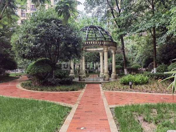 【多图】置信逸都花园b区,老城租房,老城 六小旁!