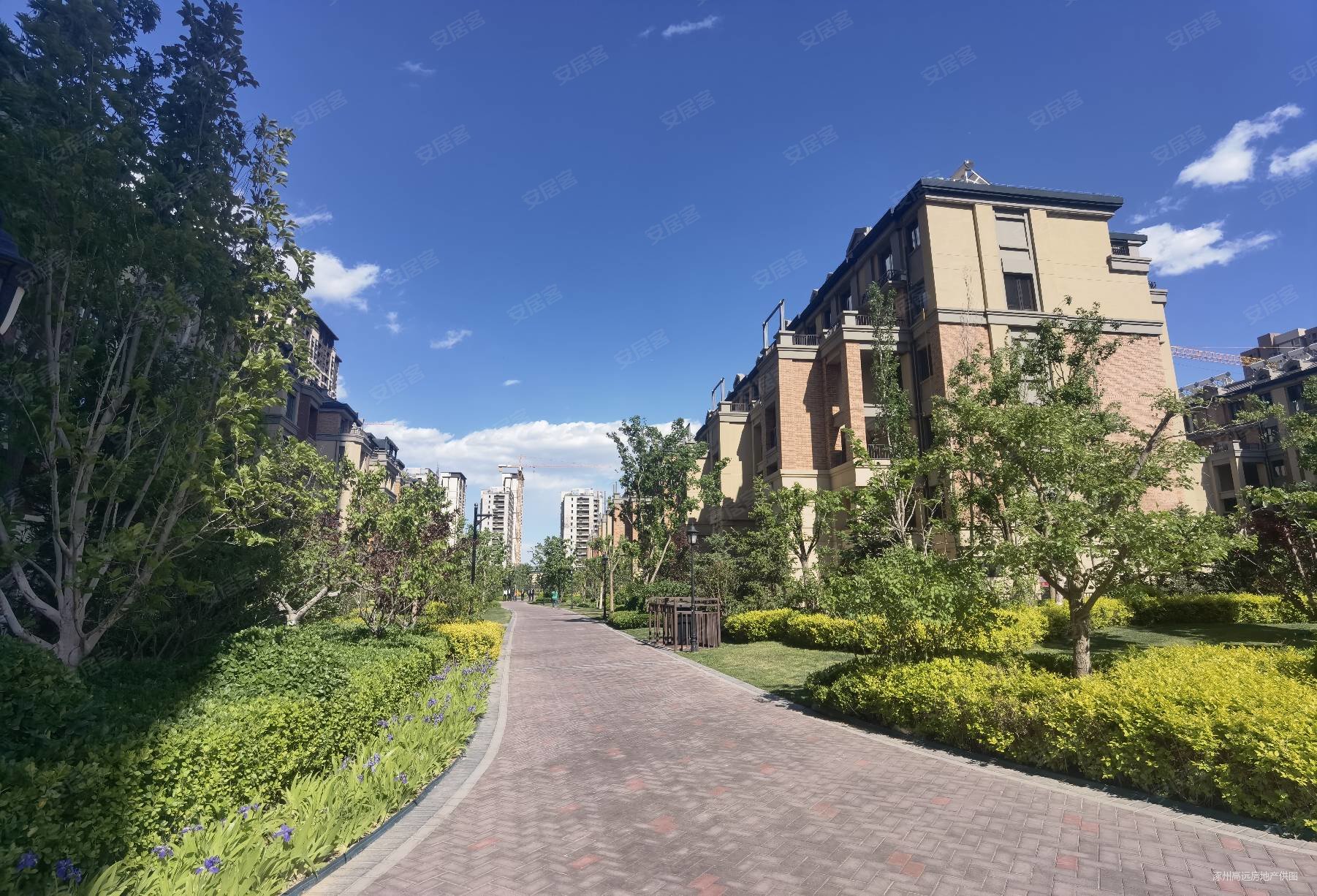 鸿坤理想湾3室2厅2卫95㎡南北96.5万