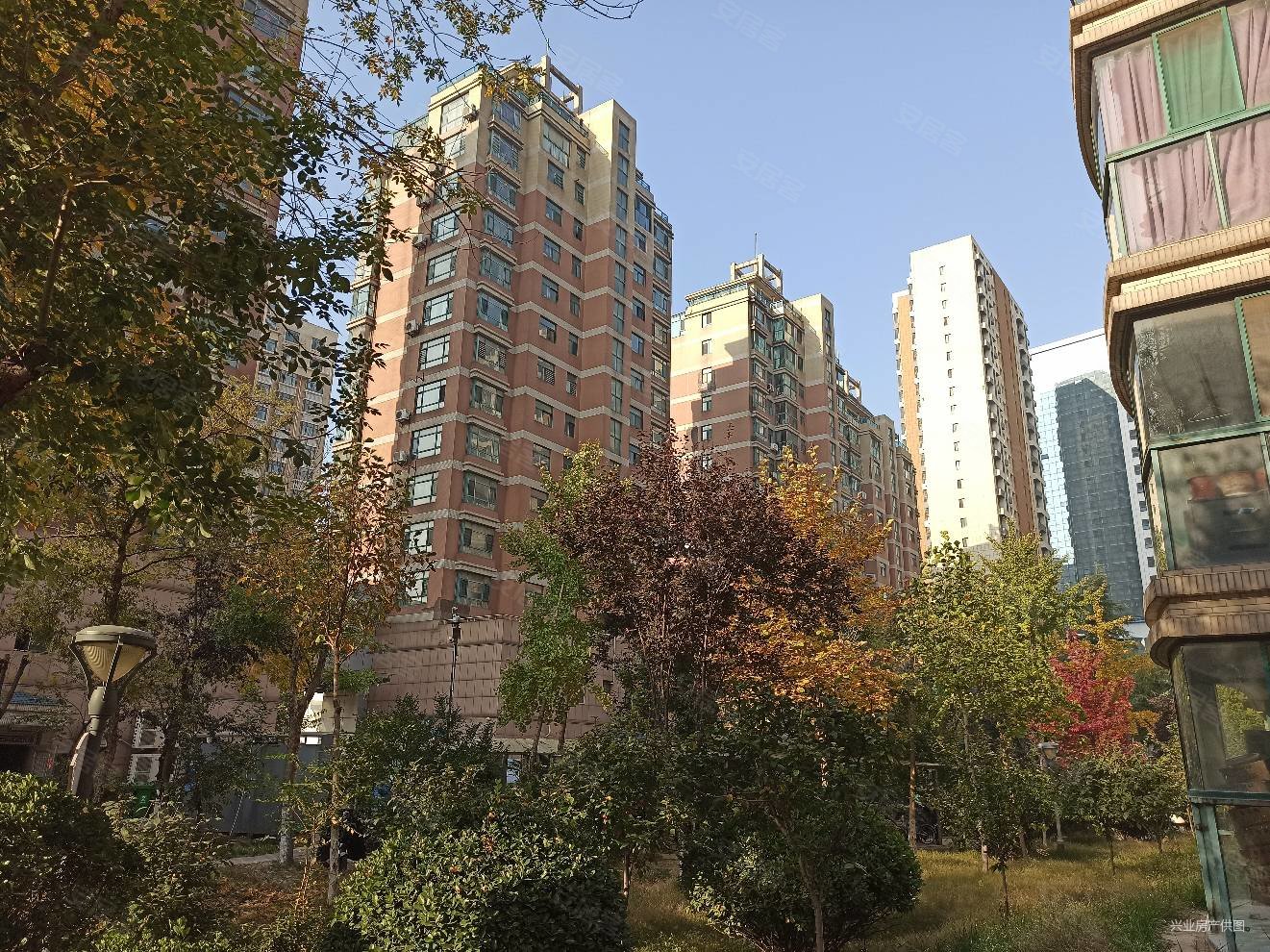 风筝广场白浪河畔电梯洋房丽景苑3室2厅房型好精装双气